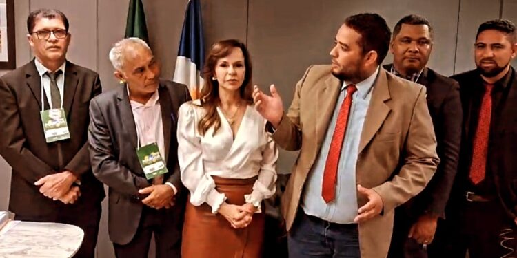 Vereadores levam demandas à senadora Dorinha em Brasília