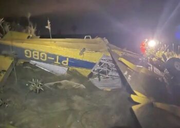 Piloto estava sozinho no avião no momento da queda em Uberlândia (MG) Divulgação/Corpo de Bombeiros de Minas Gerais