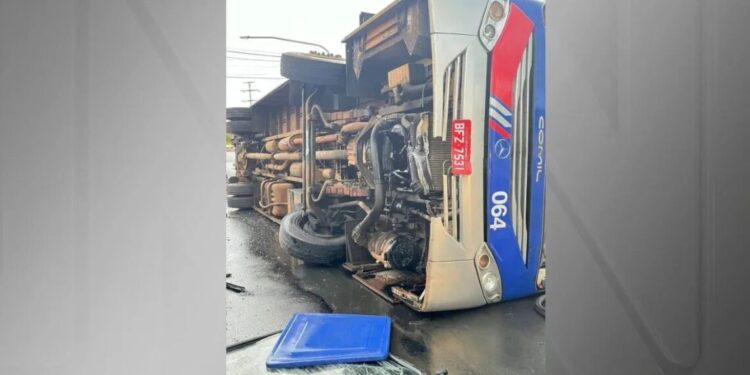 Acidente com ônibus escolar em Paulínia (SP) deixa 15 pessoas feridas