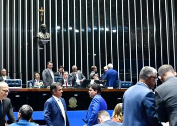 PEC das Drogas cita que será considerado crime “a posse e o porte, independentemente da quantidade, de entorpecentes e drogas Waldemir Barreto/Agência Senado