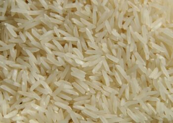 Empresas de médio e pequeno porte estão enfrentando desafios, com preços médios do arroz distantes do piso estimado de R$ 90 por saca — Foto: PixaBay