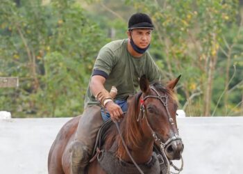 Vaqueiro e cavalo morrem após choque elétrico em caminhão