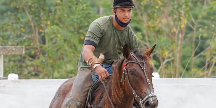 Vaqueiro e cavalo morrem após choque elétrico em caminhão