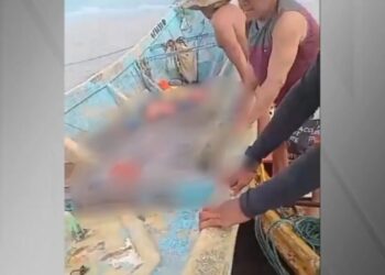 Corpos em barco no Pará: PF suspeita que organização criminosa atuou no transporte