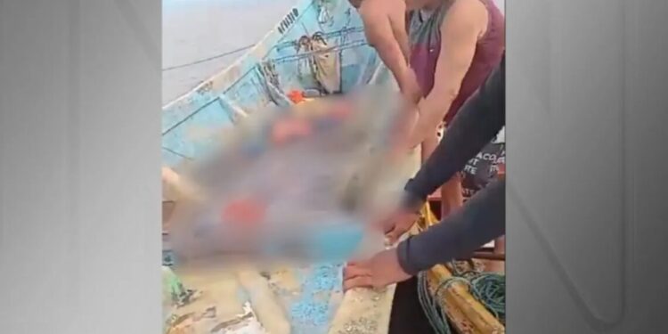 Corpos em barco no Pará: PF suspeita que organização criminosa atuou no transporte