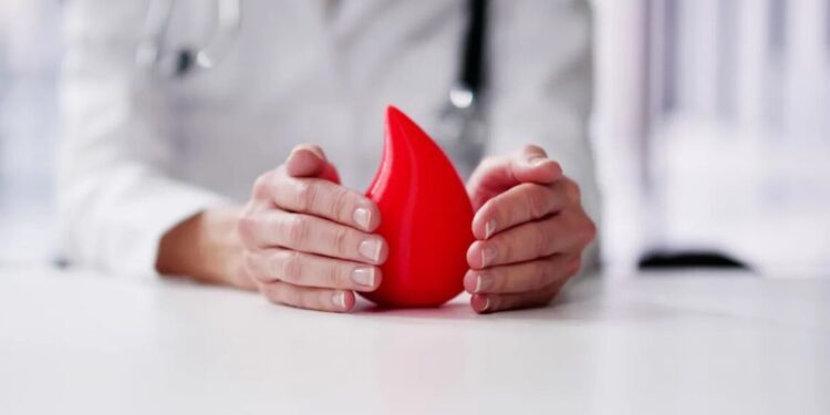 Entenda o que é hemofilia e como a doença pode ser tratada