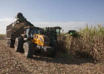 Foram colhidas 713,2 milhões de toneladas de cana nesta safra — Foto: Marcelo Min