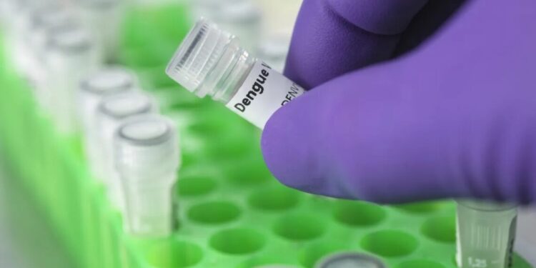 Combo de vírus: como diferenciar dengue, Covid, influenza e rotavírus?