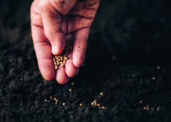 Registro de produtos para controle biológico de pragas ultrapassa o de agroquímicos no Brasil