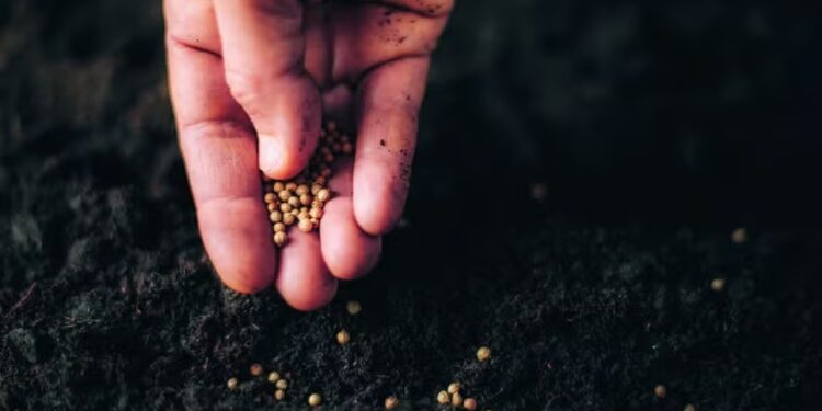 Registro de produtos para controle biológico de pragas ultrapassa o de agroquímicos no Brasil