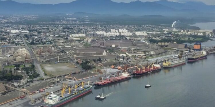 PF investiga grupo que envia cocaína para Europa pelo porto de Paranaguá