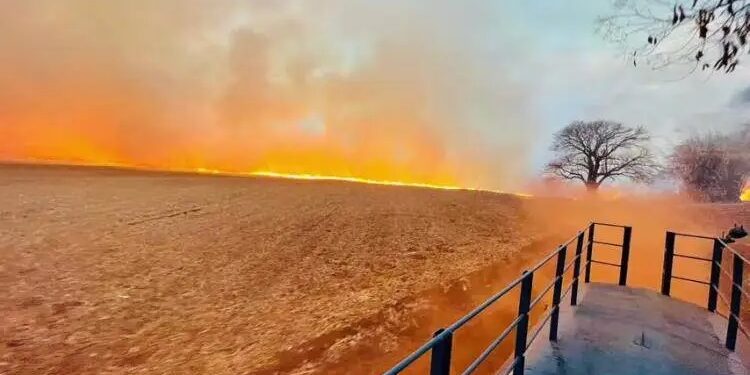 Brasil registra número recorde de conflitos no campo em 2023, diz relatório