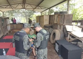 Polícia Militar apreende 33 galos na Operação Briga de Galos, em Porto Nacional. — Foto: Divulgação/ PMTO