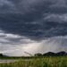 Clima em Palmas: confira a previsão do tempo para hoje 23/04/2024