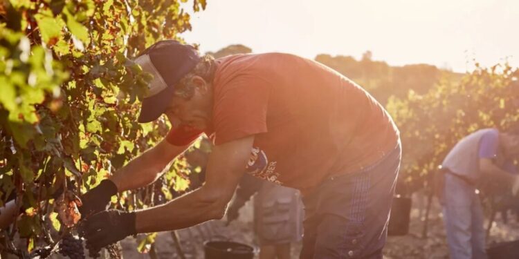 Mudanças climáticas causam riscos à saúde de 70% dos trabalhadores, diz ONU