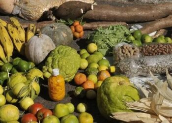 Insegurança alimentar grave atingiu mais de 3 milhões de lares brasileiros em 2023, segundo o IBGE Antonio Cruz/Agência Brasil