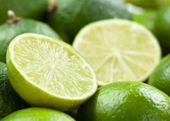 Maior oferta derruba preço da lima tahiti em quase 30% na semana