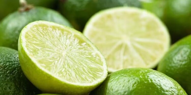 Maior oferta derruba preço da lima tahiti em quase 30% na semana