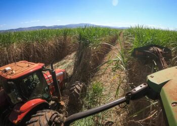 Moagem de cana cresce 14% na primeira quinzena de abril, informa Unica