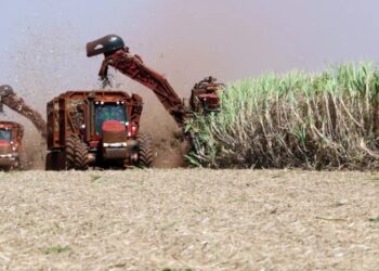 Na Agrishow, BNDES lança nova linha de crédito para produtores e valor para o setor pode chegar a R$ 10 bilhões em 2024