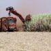 Na Agrishow, BNDES lança nova linha de crédito para produtores e valor para o setor pode chegar a R$ 10 bilhões em 2024