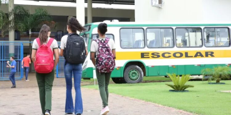 Prefeitura de Palmas homologa licitação e contrata empresas de ônibus para atender o transporte escolar da zona rural