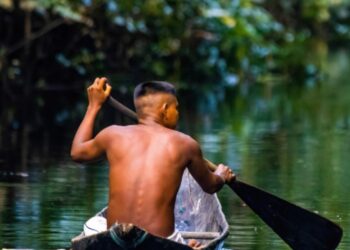 MEC participa de lançamento de congresso sobre educação ambiental