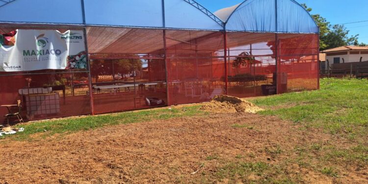 Governo do Tocantins apresentará diversas tecnologias no Pavilhão da Agricultura Familiar da Agrotins 2024