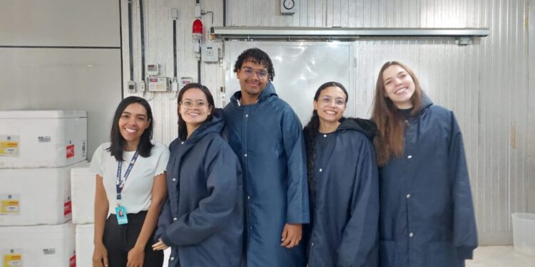 SES-TO apresenta o funcionamento e gestão da distribuição de vacinas a estudantes de enfermagem 