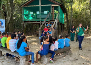 Naturatins promove atividades educativas no Parque Estadual do Cantão em alusão ao Dia Mundial das Lontras