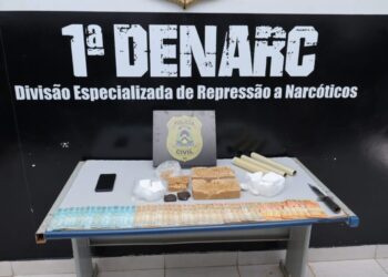 Em Palmas, Polícia Civil prende casal por tráfico de drogas em região de chácaras