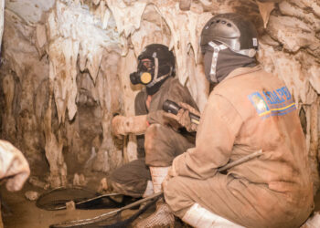 Adapec realiza ações de prevenção à raiva animal na região ocidental do Tocantins