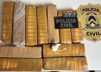 Em Porto Nacional, Polícia Civil prende suspeito por tráfico de drogas