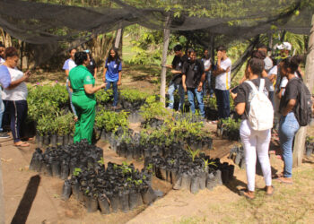 Foto: Edvaldo Xerente