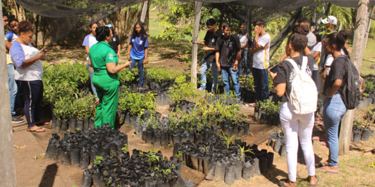 Foto: Edvaldo Xerente