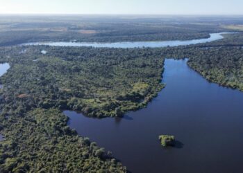 Governo do Tocantins realiza mapeamento de sítios de aves migratórias no Cantão para prevenção à influenza aviária