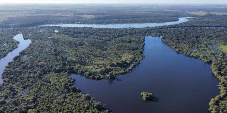 Governo do Tocantins realiza mapeamento de sítios de aves migratórias no Cantão para prevenção à influenza aviária
