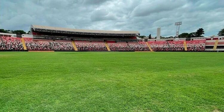 Botafogo-SP x Mirassol: horário e onde assistir ao jogo da Série B do Brasileiro