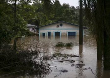 Agro é o setor da economia mais prejudicado pelas enchentes no RS