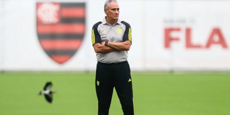 Tite comanda o treino do Flamengo
Gilvan de Souza / Flamengo