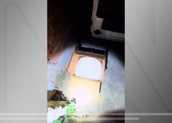 Polícia apreendeu uma tonelada de cocaína em carro na Grande São Paulo Polícia Militar