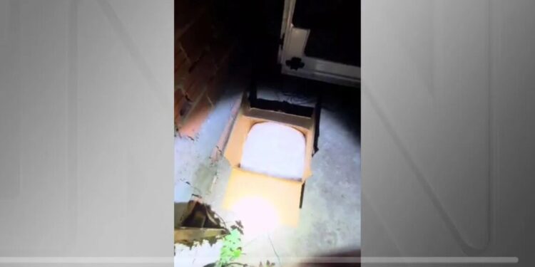 PM apreende uma tonelada de cocaína na região metropolitana de São Paulo