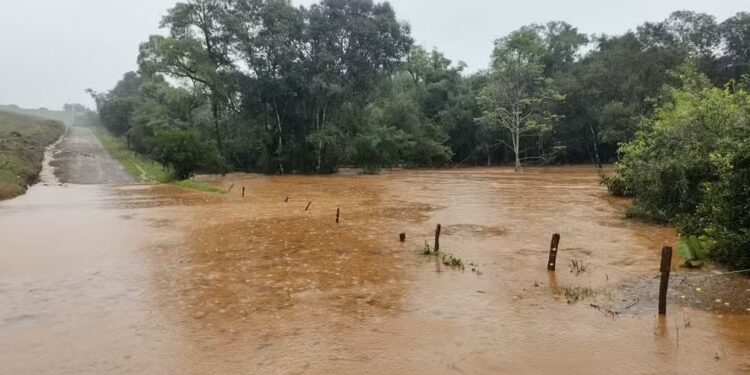 Chuvas no RS devem afetar o mercado de seguro rural no país — Foto: Arquivo pessoal