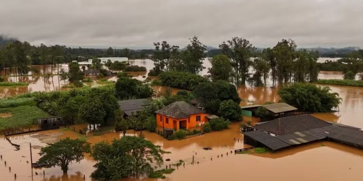 Ministério da Agricultura solicita suspensão de dívidas rurais por 90 dias no RS
