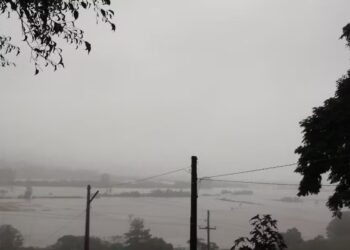 Chuvas no RS destruíram quase 23 mil hectares de arroz