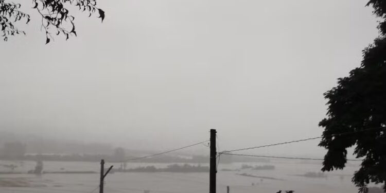 Chuvas no RS destruíram quase 23 mil hectares de arroz