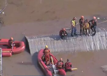 Cavalo foi retirado do telhado em que estava ilhado nesta quinta-feira (9) Crédito: X/Reprodução