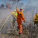 Processo seletivo oferece 80 vagas para brigadistas atuarem em incêndios florestais no Tocantins