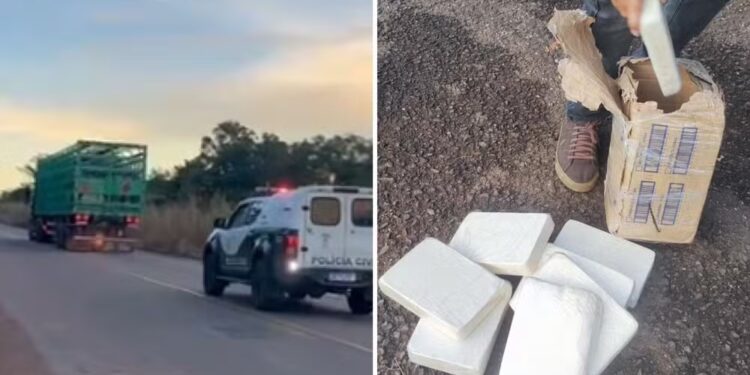 Momento em que viatura fez a abordagem do caminhão e material apreendido — Foto: Divulgação/Polícia Civil