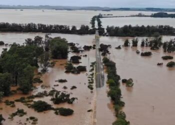 Perdas na pecuária alcançam R$ 167 milhões com as chuvas no RS